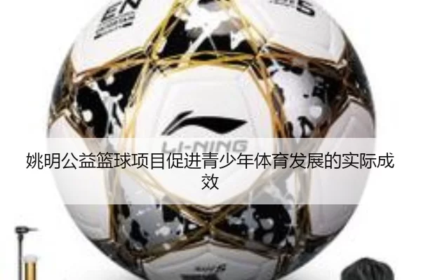 姚明公益篮球项目促进青少年体育发展的实际成效